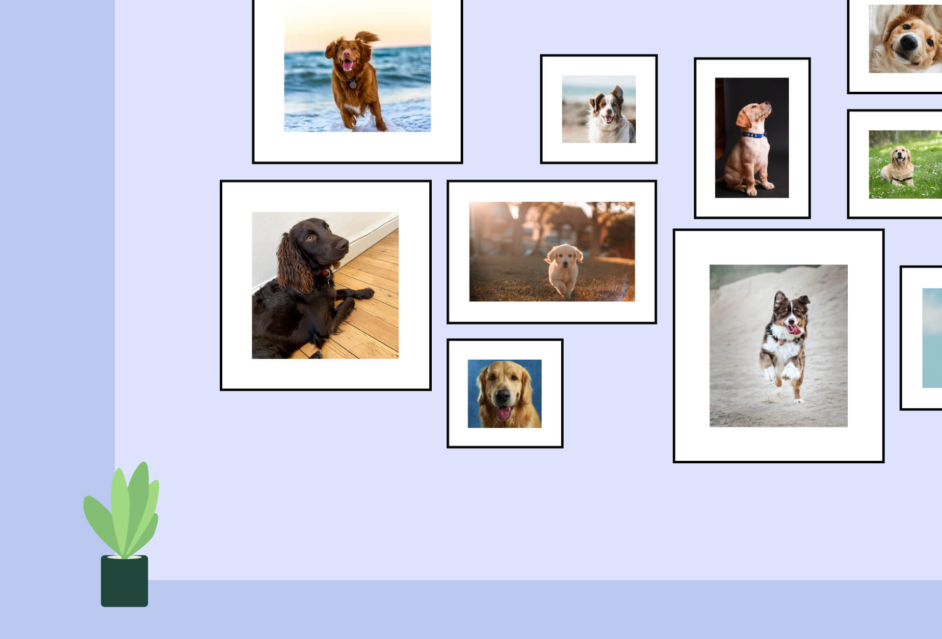 Gallery with multiple photos of dogs on the wall illustration