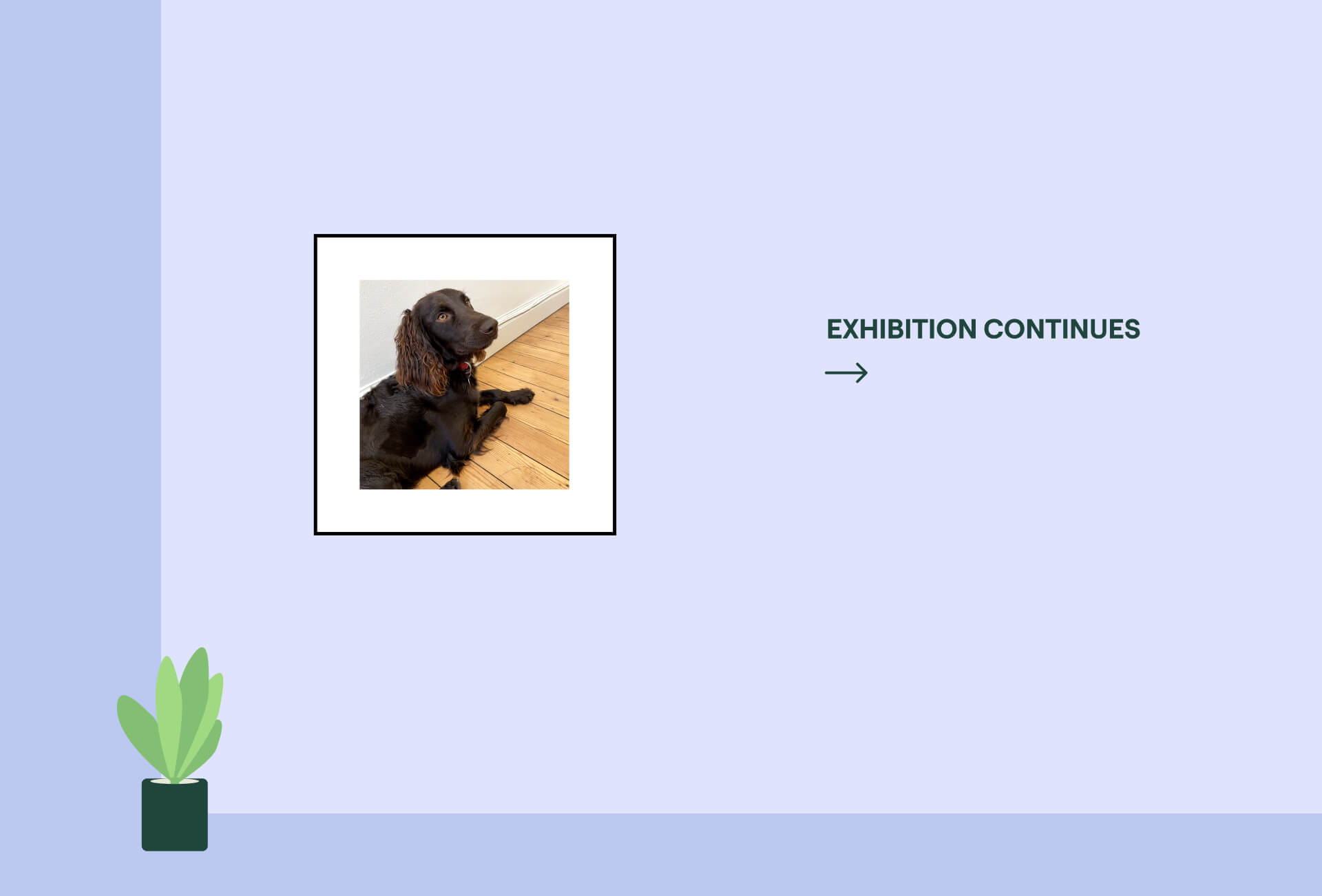 Gallery with photo of a dog on the wall and a sign pointing to the right to continue exhibition