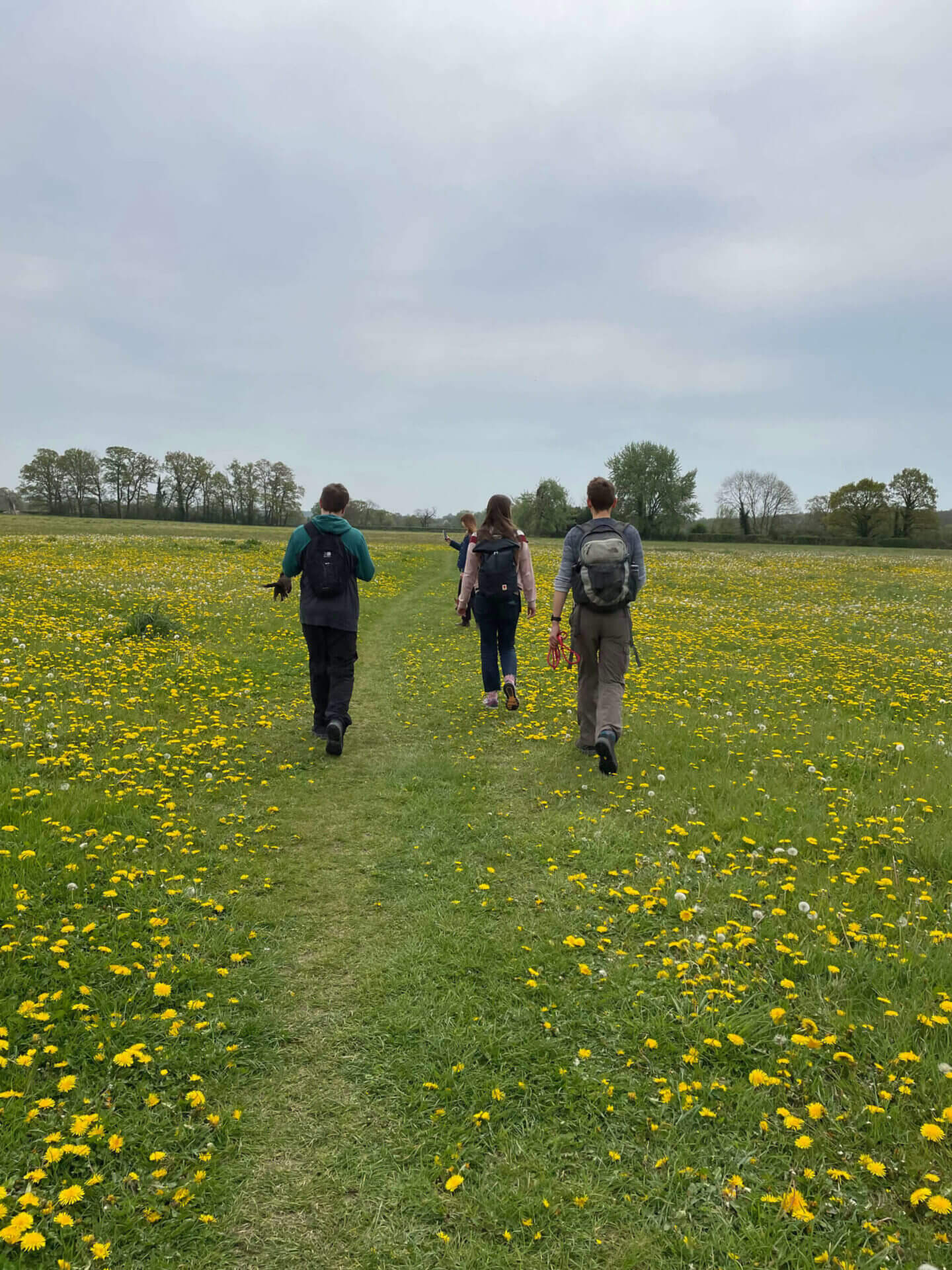 Pixel Fridge team rambling in field