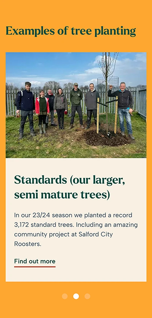 Screenshot of CIty of Trees website on a mobile device